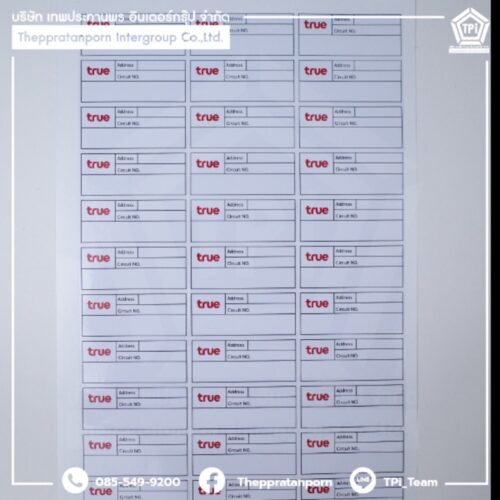 Sticker circuit 7 x 3 cm true (packing 33 EAPAGE) #10002